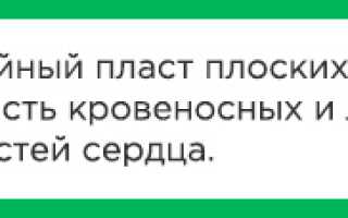 Атеросклероз сосудов головного мозга симптомы и лечение код мкб
