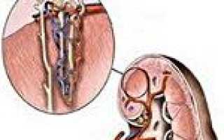 Гломерулонефрит хронический код по мкб 10 у детей