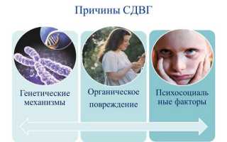 Синдром дефицита внимания симптомы лечение