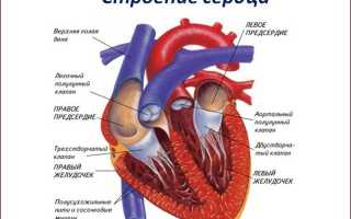 На экг у ребенка синдром гребешка