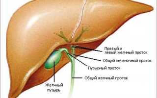 Синдром сгущения желчи у детей