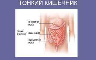 Что такое синдром избыточного бактериального роста тонкой кишки