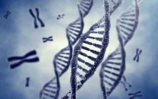 Дети из синдрома дауна рожать или нет