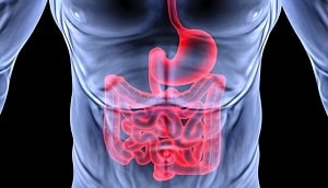 Болезни органов пищеварения в МКБ 10: желудочно-кишечное кровотечение желудочно-кишечное кровотечение код по мкб 10