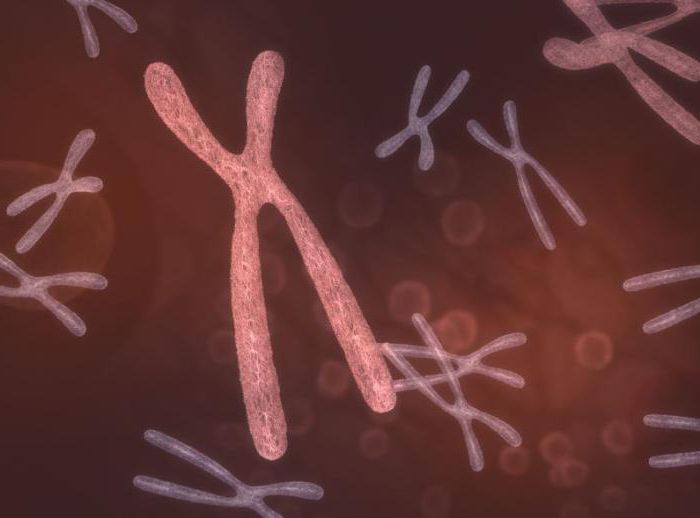 синдром Корнелии де Ланге причины