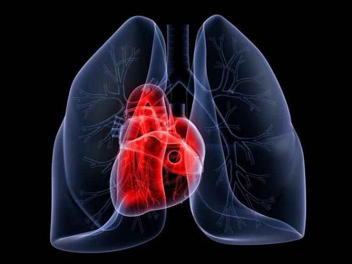 синдром артериальной гипертензии патогенез 