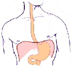 C15 Злокачественное новообразование пищевода
