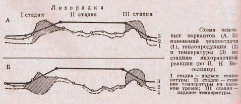 Лихорадочный синдром при простудных заболеваниях это
