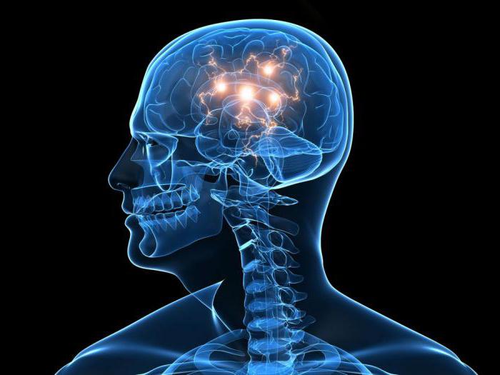 цефалгический вестибуло атактический синдром 