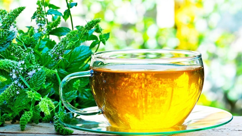 Лучшие народные средства для лечения синдрома раздраженного кишечника