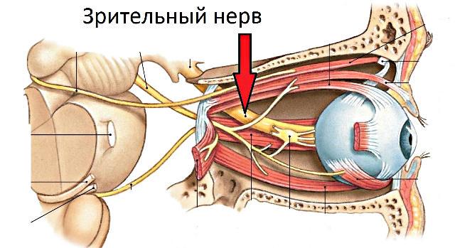 ЧАЗН - частичная атрофия зрительного нерва глаза ЧАЗН - частичная атрофия зрительного нерва глаза