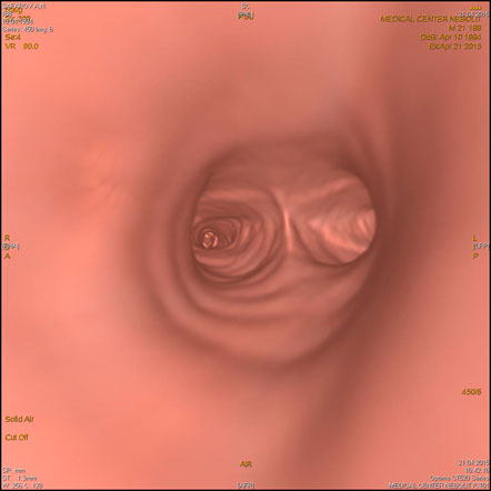 clip_image018.jpg clip_image018.jpg