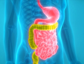 Прежде, чем принимать препараты от синдрома раздраженного кишечника, нужно попытаться скорректировать питание и образ жизни.