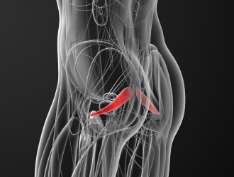 Спазм грушевидной мышцы