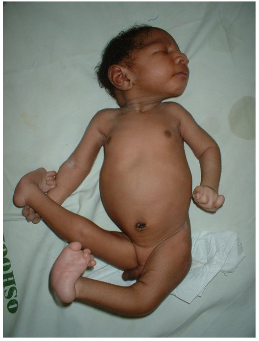 ножки качели