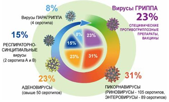 Структура заболеваемости ОРВИ