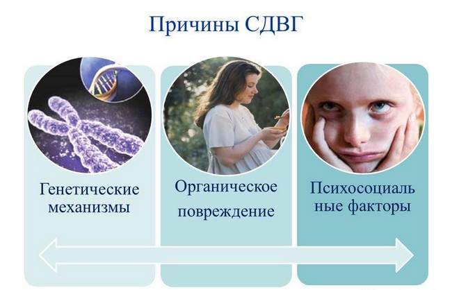 Причины СДВГ Причины СДВГ