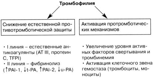 Патогенез тромбофилии